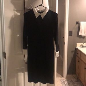 Cynthia Rowley black knit dress with silk collar